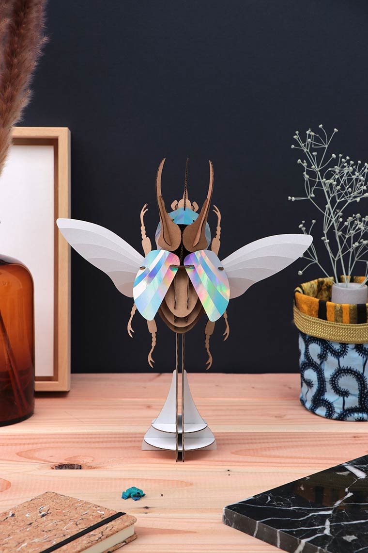 Assembli-Atlas Beetle rainbow STAND