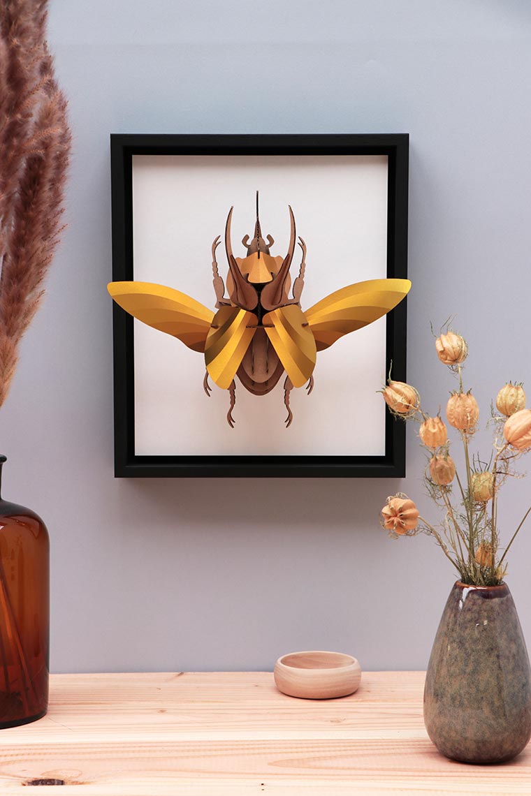 Assembli-ATLAS Beetle gold in frame