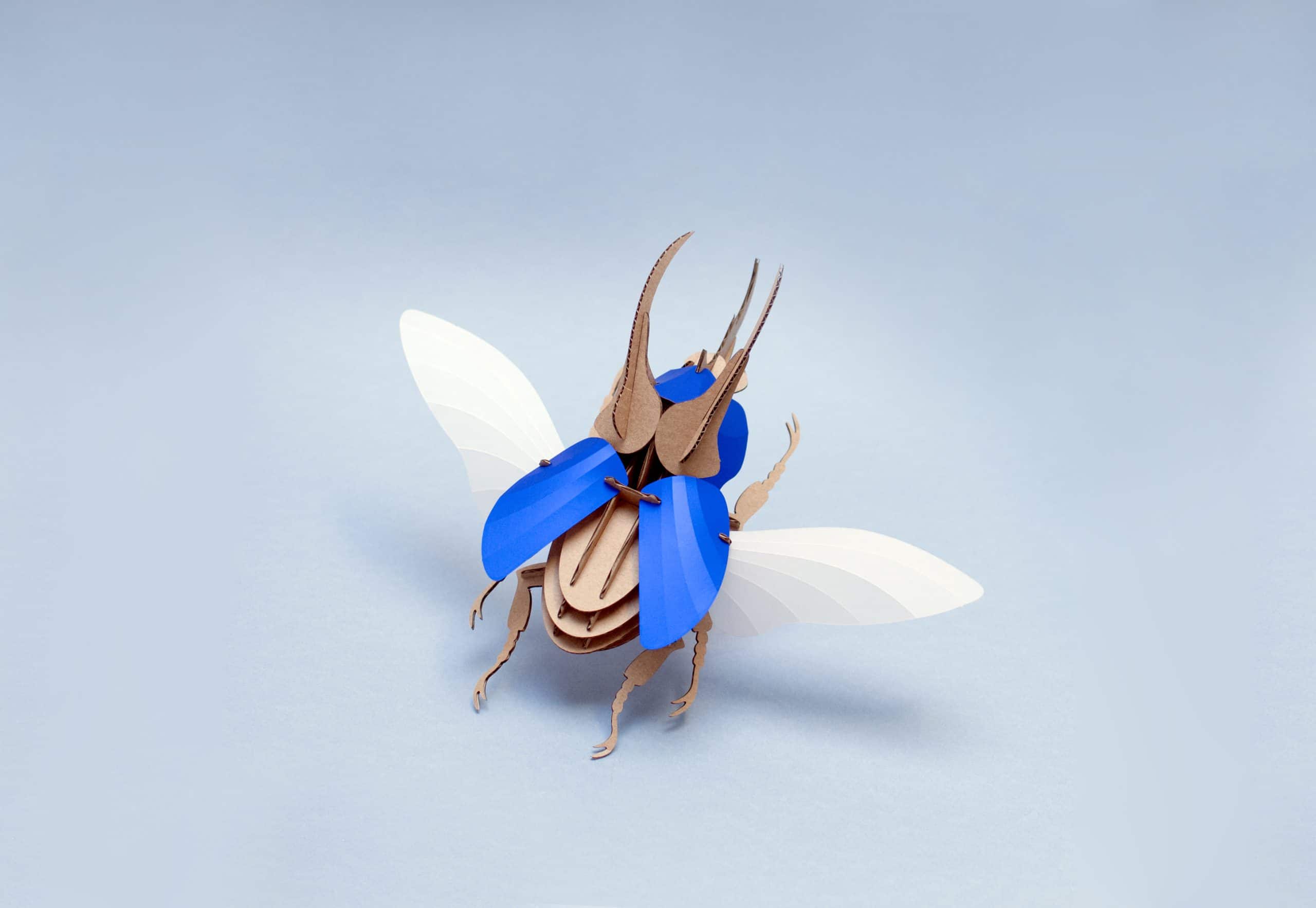 Assembli-Atlas-beetle-blue-scaled