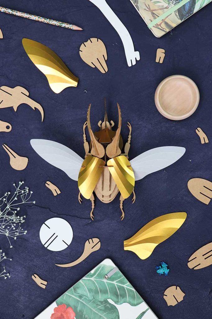 Assembli-Atlas Beetle gold Top