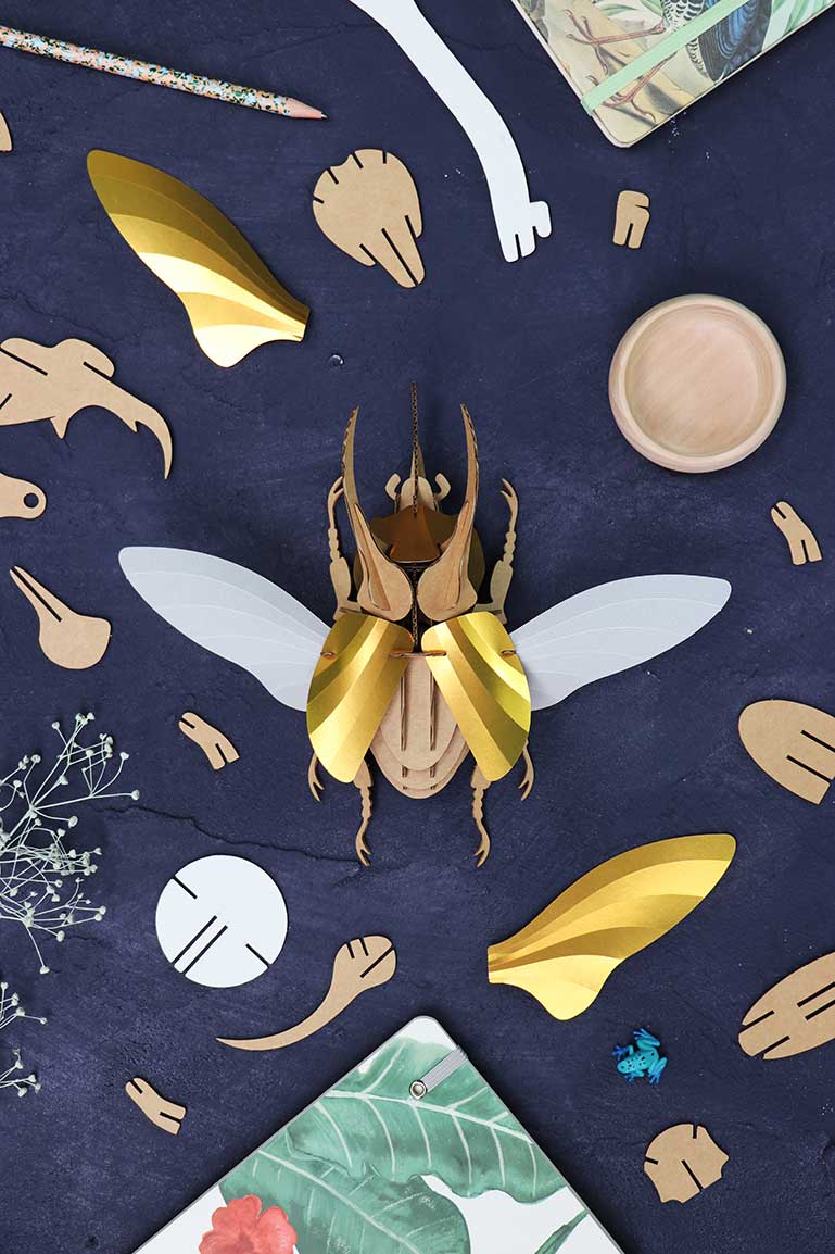 Assembli-Atlas Beetle gold Top