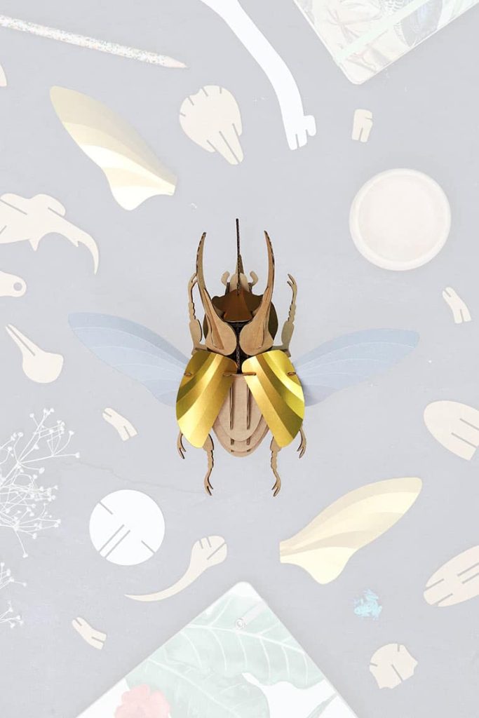 Assembli-Atlas Beetle gold Top trans-low