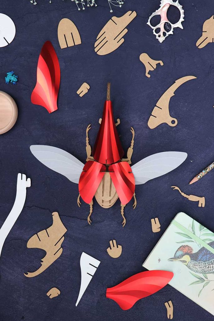 Assembli-Hercules-Beetle-red-Top-low