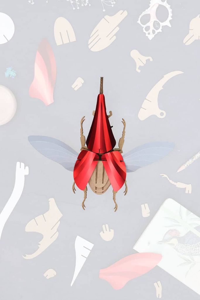 Assembli-Hercules-Beetle-red-Top-trans-low