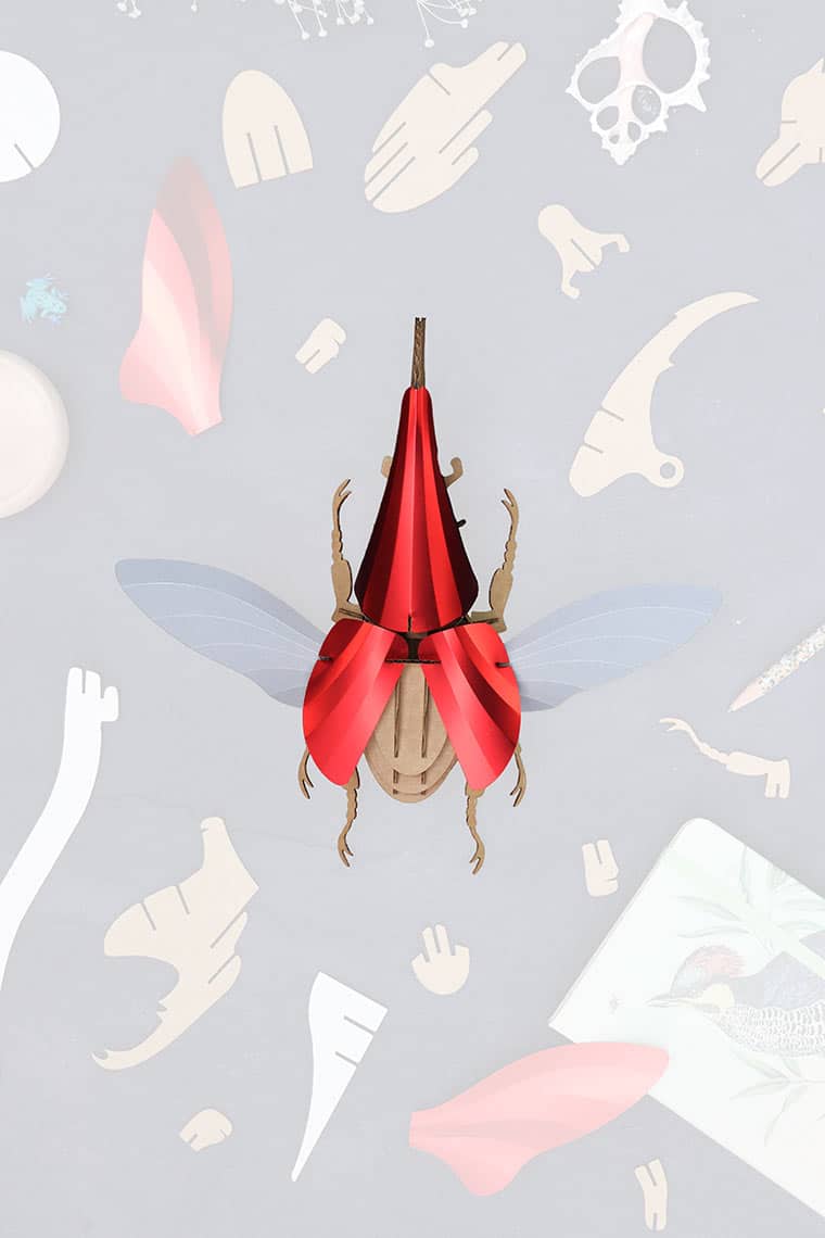 Assembli-Hercules-Beetle-red-Top-trans-low