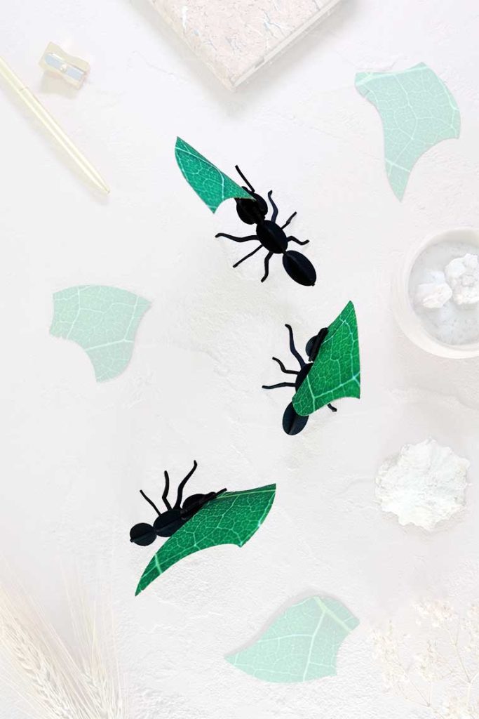 Assembli-leafcutter-ants-trans-low