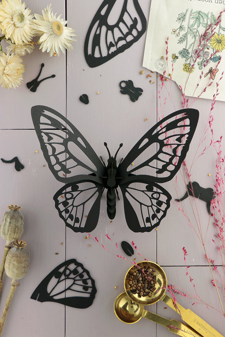 Assembli-birdwing-butterfly-black-low