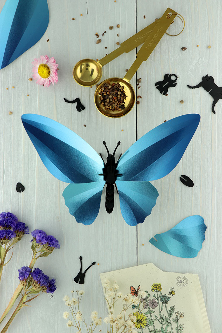 Assembli-birdwing-butterfly-blue-low