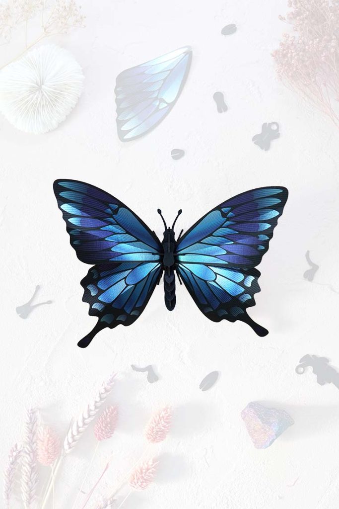 Assembli-blue-mountain-butterfly-trans-low