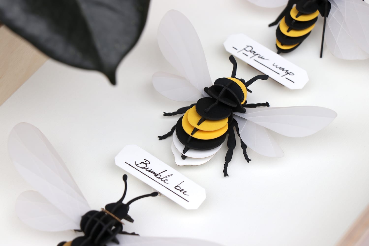 Assembli-bumble-bee-displaybox