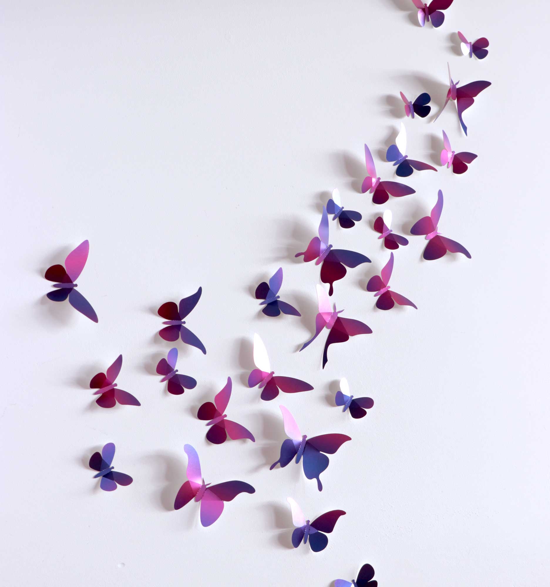Assembli Butterfly Collection purple