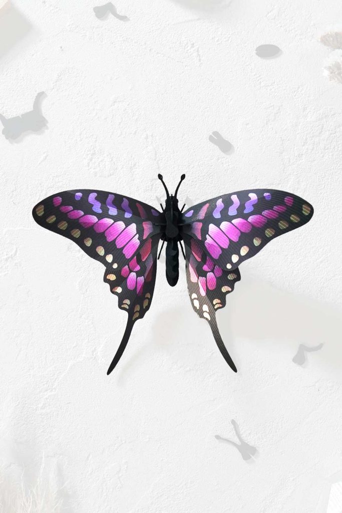 Assembli-common-swordtail-butterfly-20-new