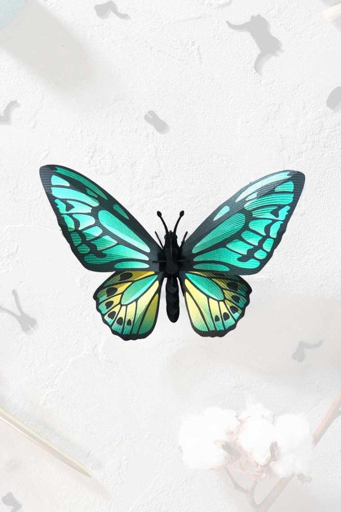 Assembli-greenbirdwing-20
