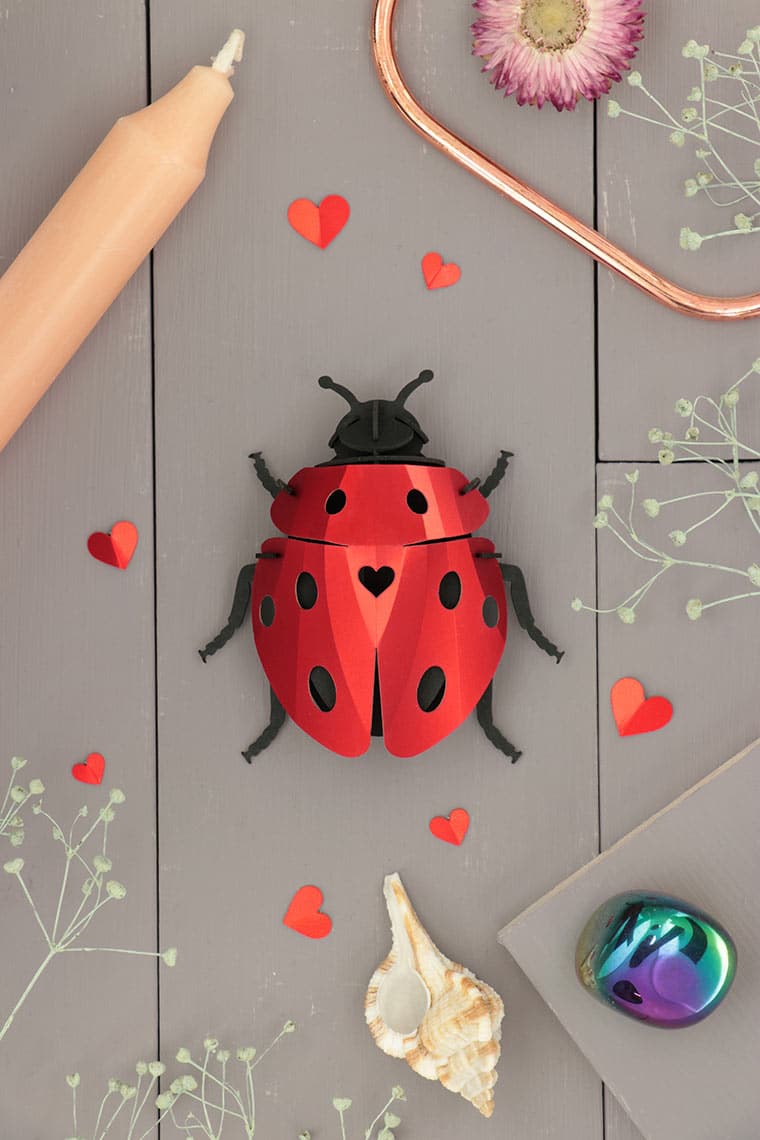 Assembli-lady-lovebug-low