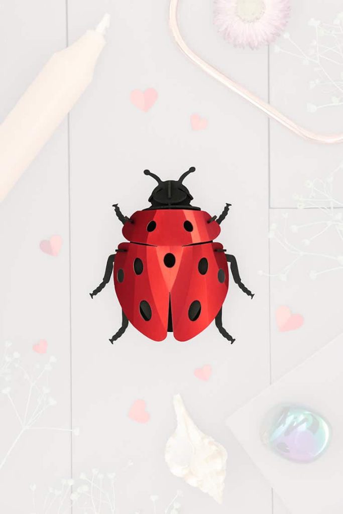 Assembli-ladybug-trans-low