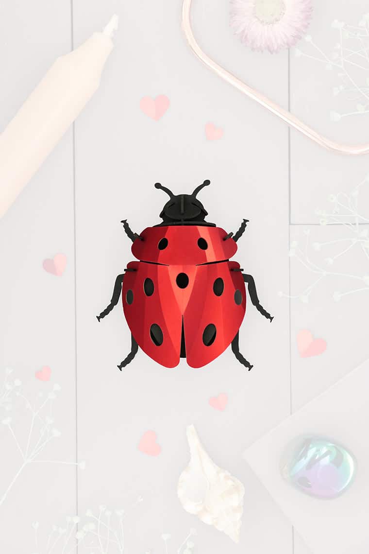 Assembli-ladybug-trans-low