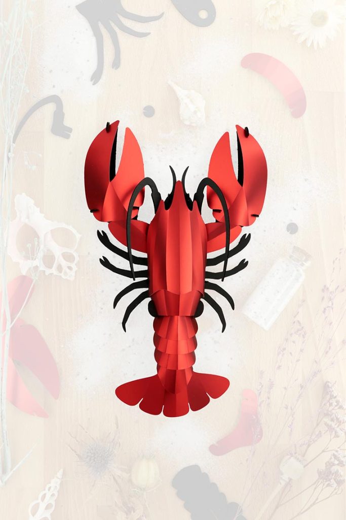 Assembli-lobster-trans-low