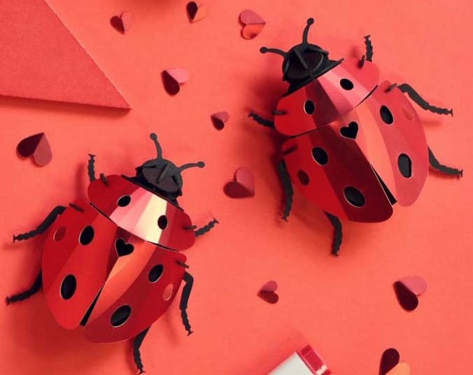 Assembli-ladybug-lovebug-low-EDIT