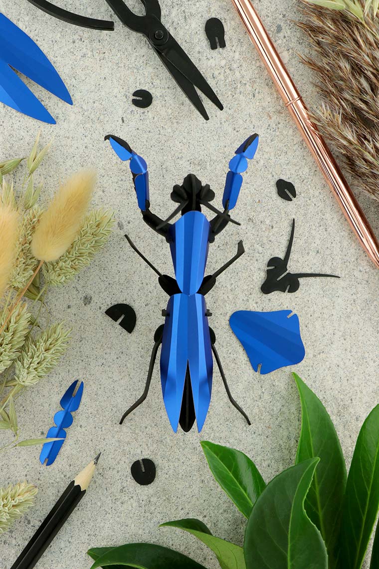 Assembli-praying-mantis-blue-low