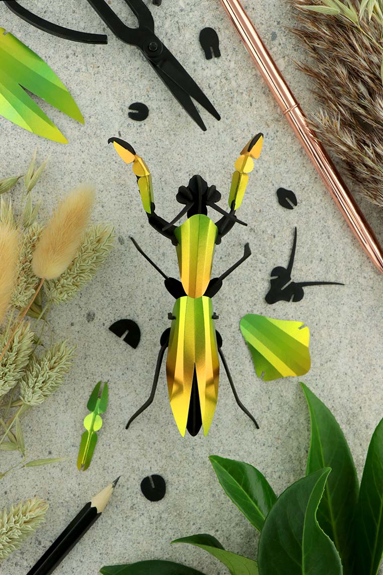 Assembli-praying-mantis-mango-low