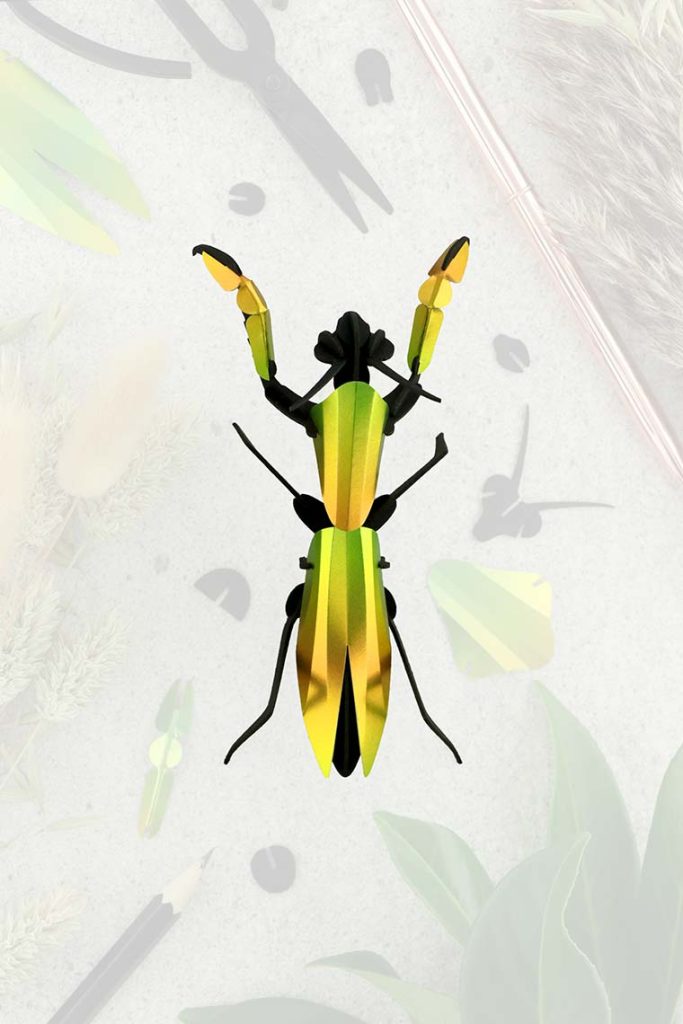 Assembli-praying-mantis-mango-trans-low