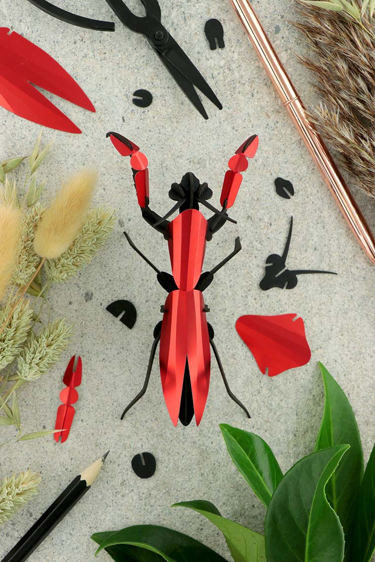 Assembli-praying-mantis-red-low