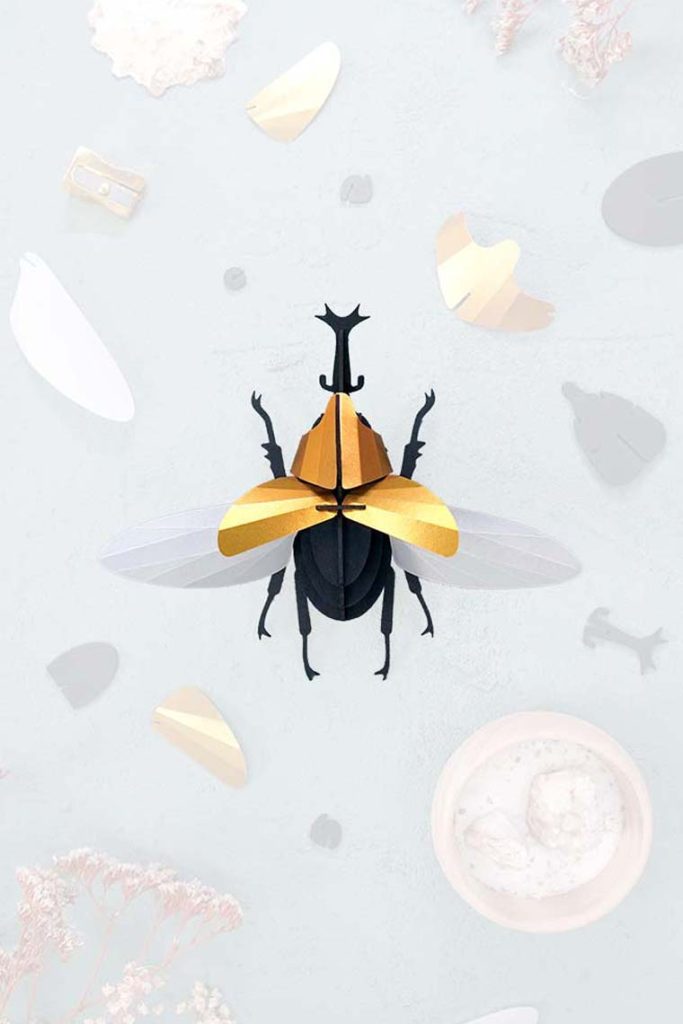 Assembli-rhinocerosbeetle-trans-low-1