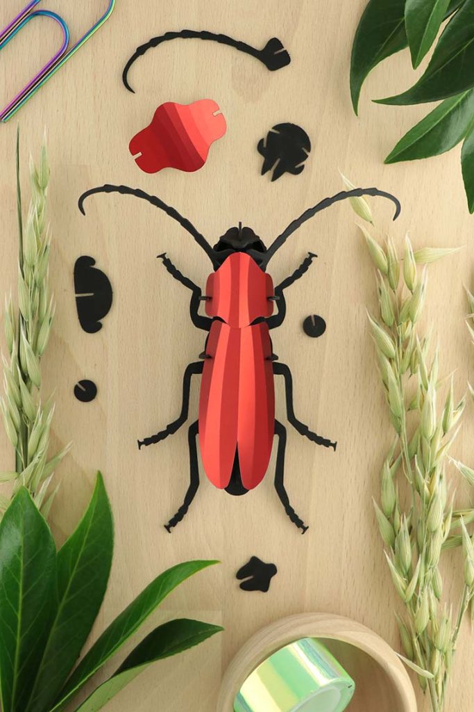 Assembli-rosalia-beetle-red-low
