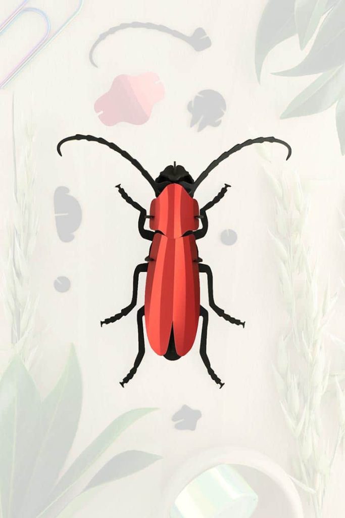Assembli-rosalia-beetle-red-trans-low
