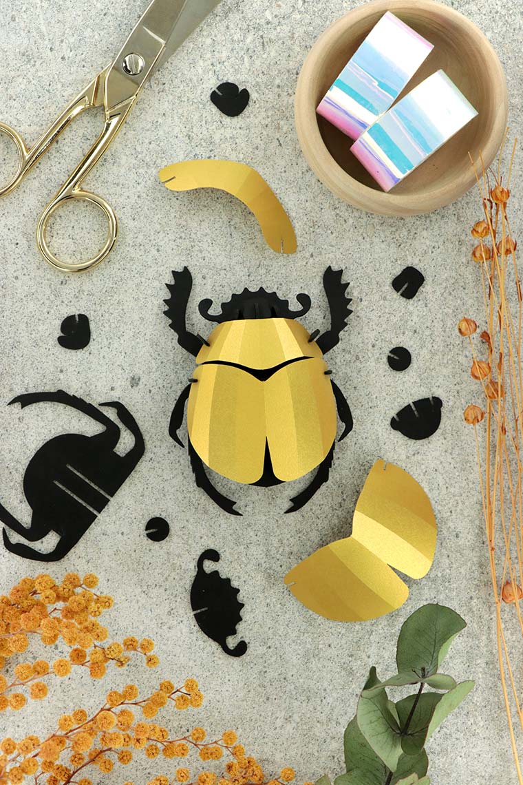 Assembli-scarab-beetle-gold-low
