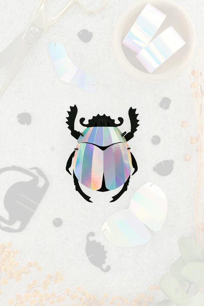 Assembli-scarab-beetle-mirror-trans-low