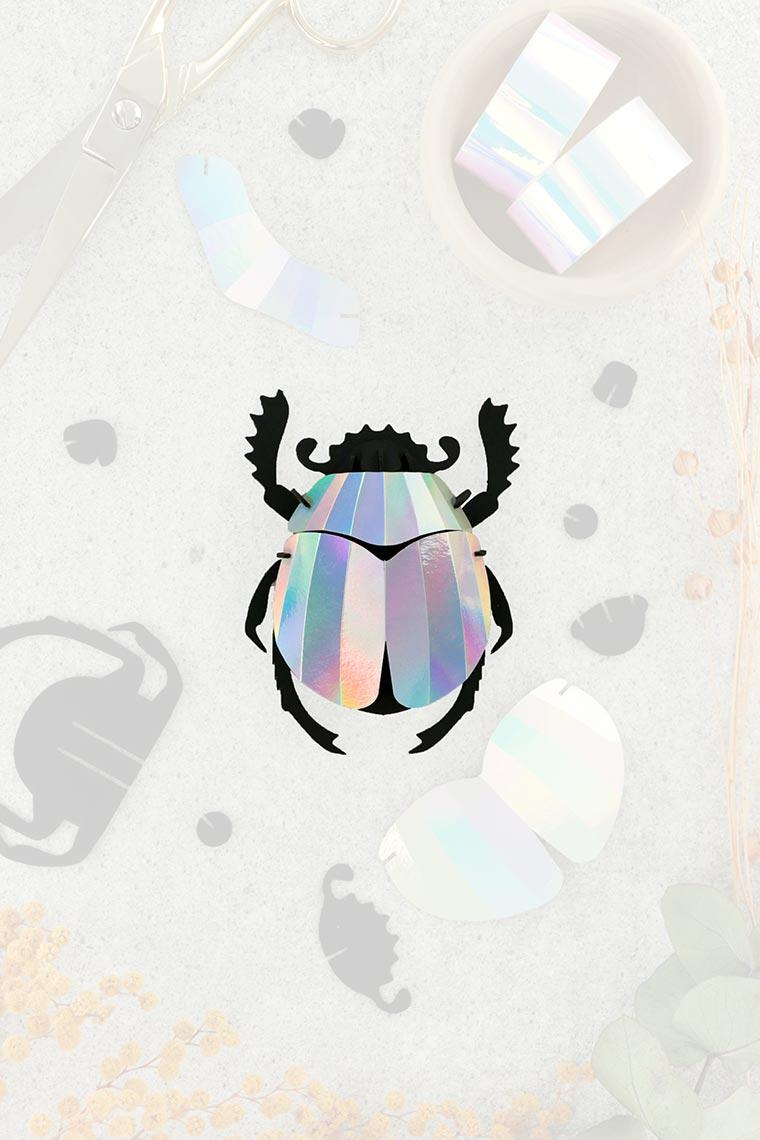 Assembli-scarab-beetle-mirror-trans-low