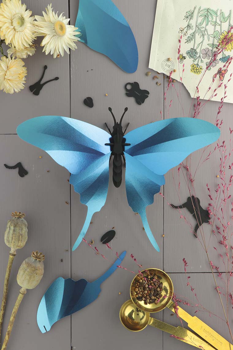 Assembli-swordtail-butterfly-blue-low