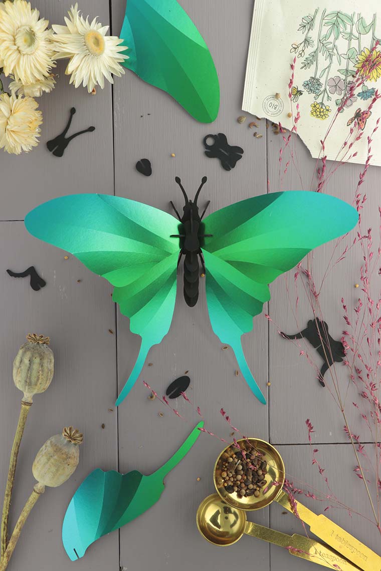 Assembli-swordtail-butterfly-green-low