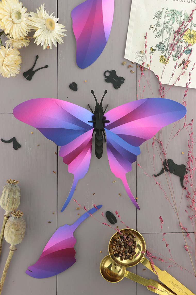 Assembli-swordtail-butterfly-purple-low