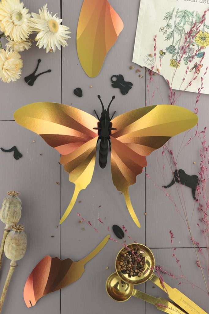 Assembli-swordtail-butterfly-yellow-low