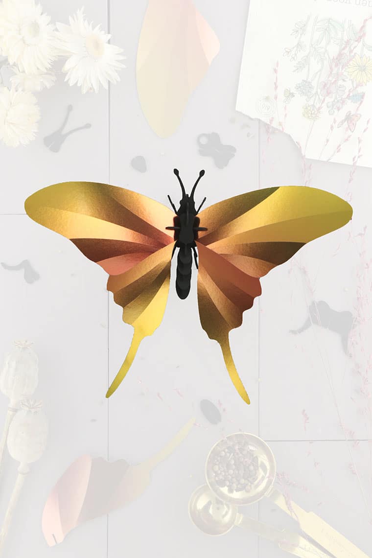 Assembli-swordtail-butterfly-yellow-trans-low