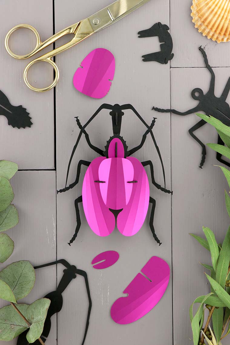Assembli-violin-beetle-pink-low
