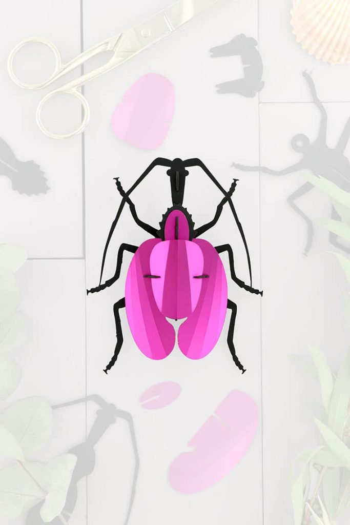 Assembli-violin-beetle-pink-trans-low