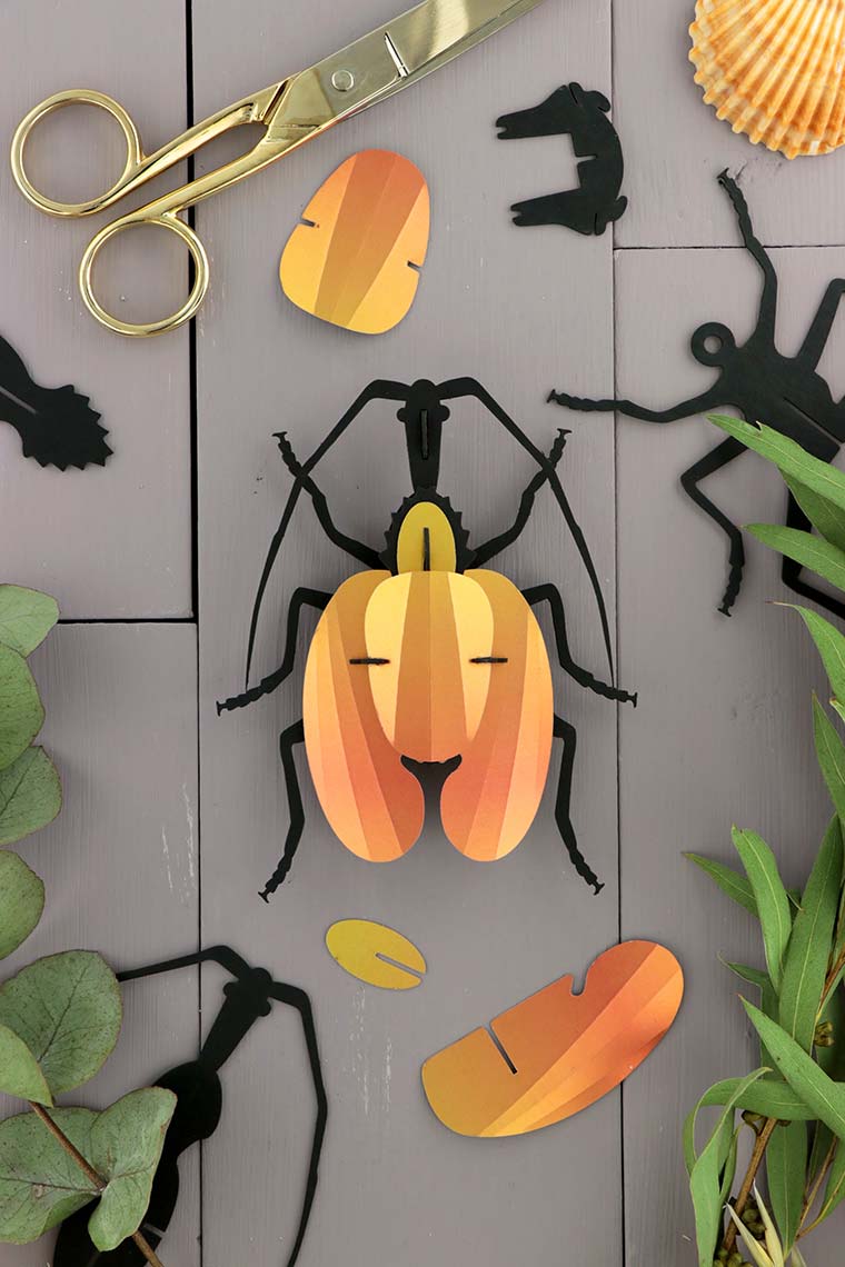 Assembli-violin-beetle-yellow-low