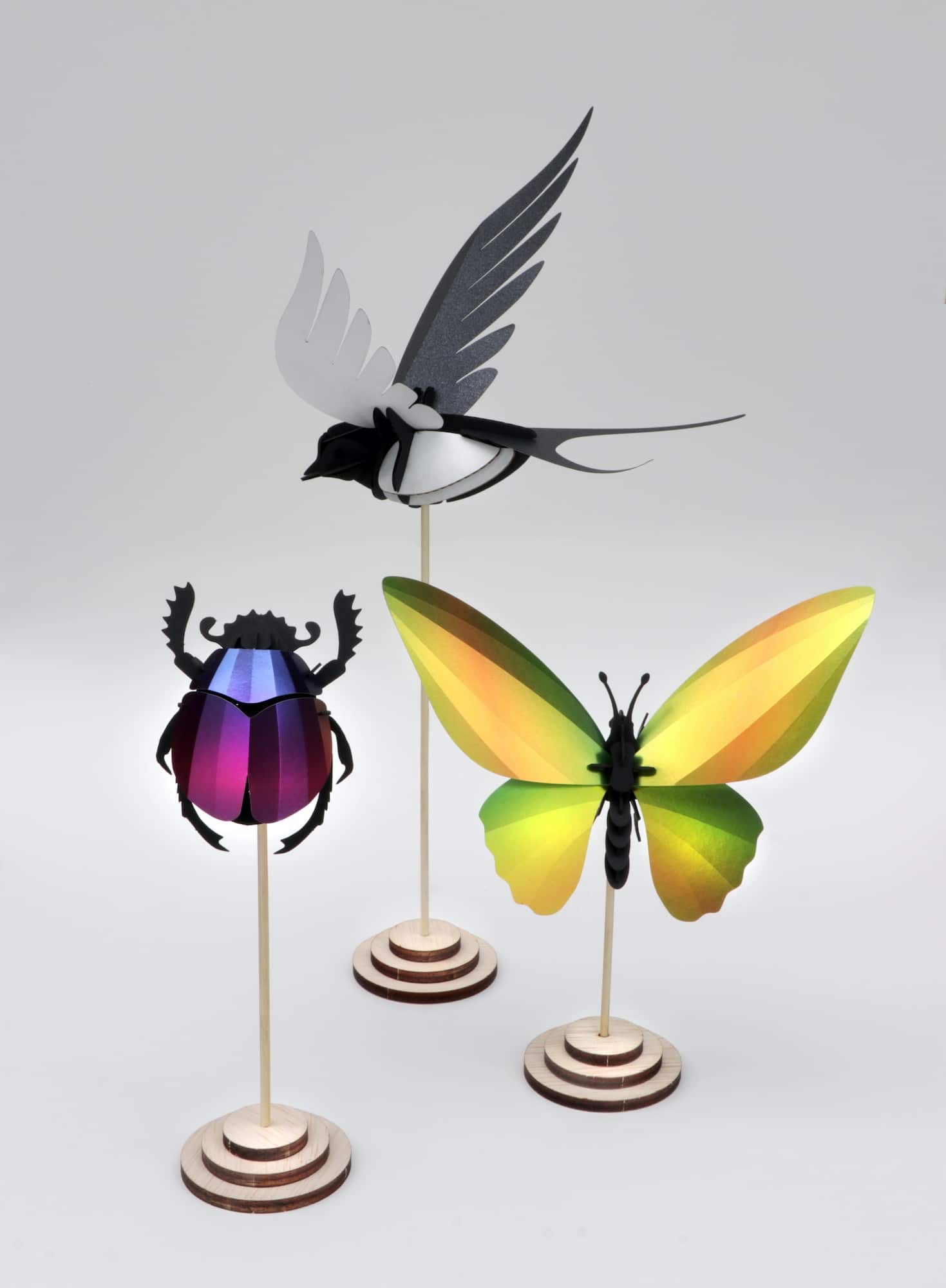 Assembli DIY Table Display Wood - swallow and insects