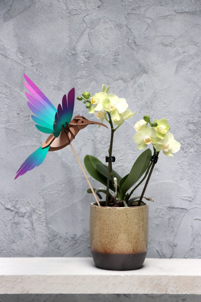 Assembli Colibri bird green-purple plant
