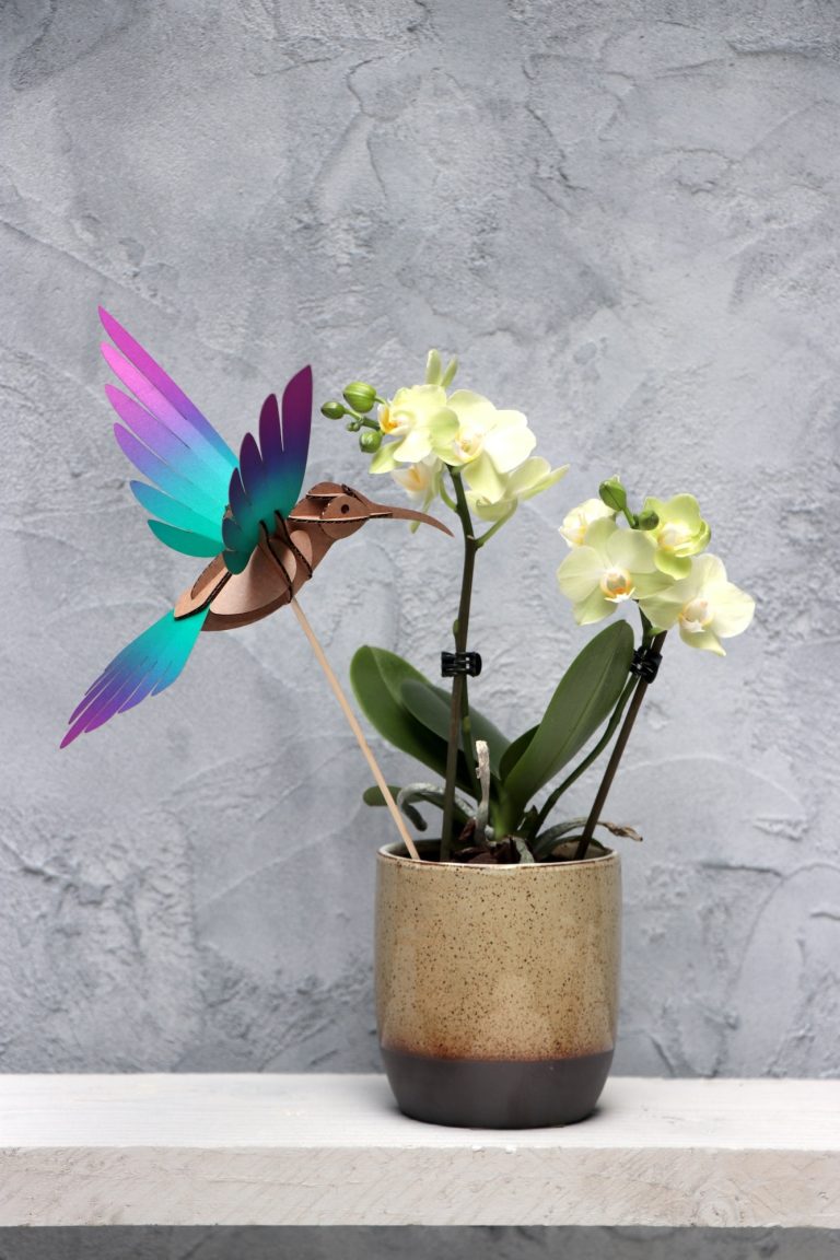 Assembli Colibri bird green-purple plant