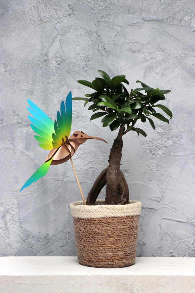 Assembli Colibri bird yellow-blue plant