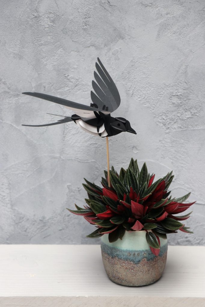 Assembli Swallow bird plant