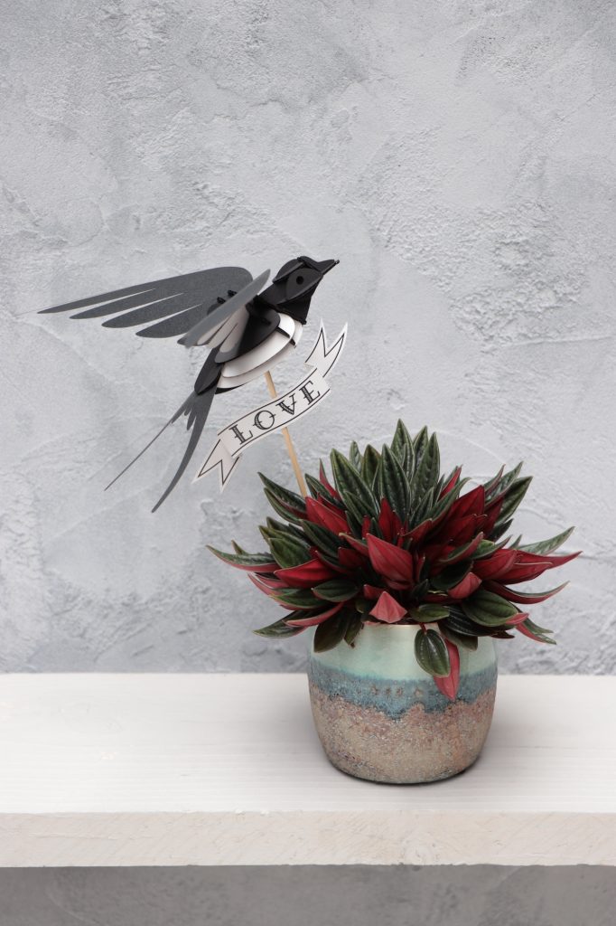 Assembli Swallow bird plant 2