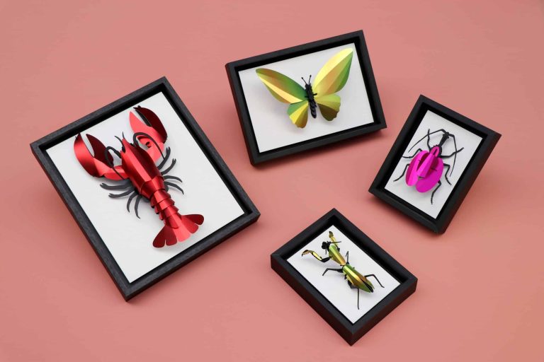 Assembli Black Wooden Frames insects