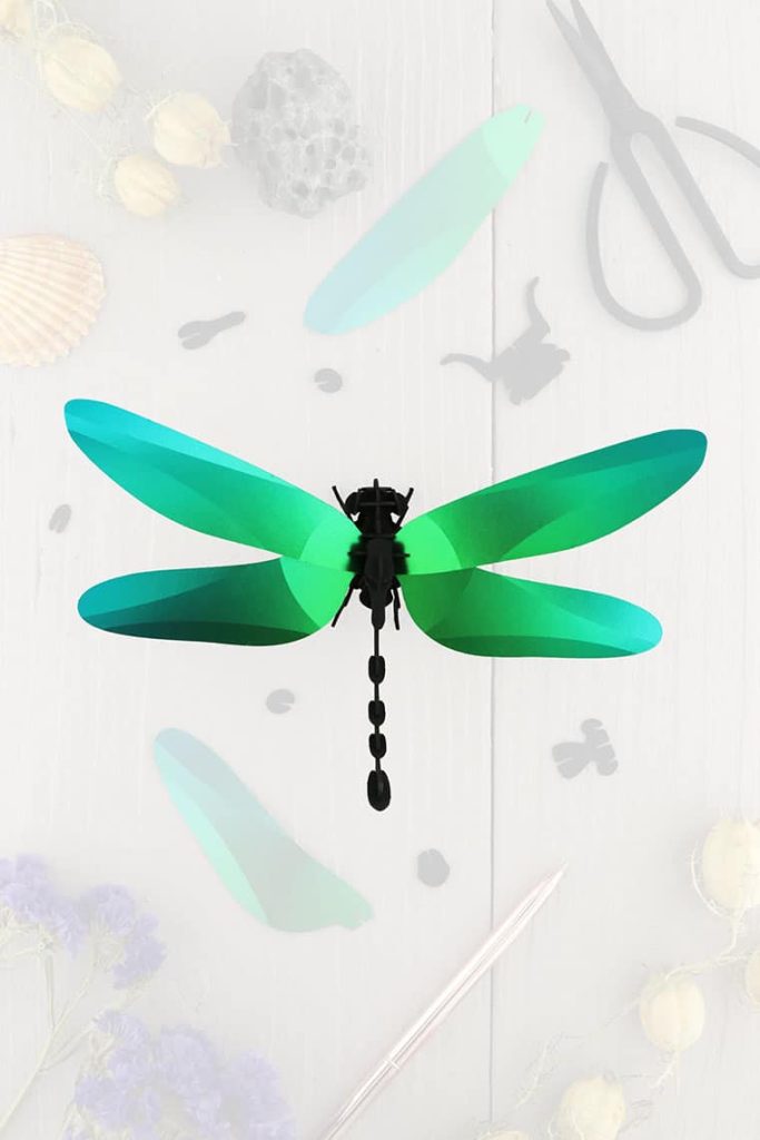 assembli-dragonfly-green-trans-low