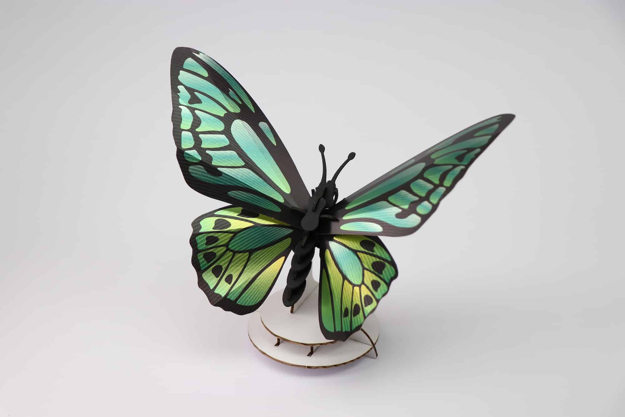 Assembli green birdwing butterfly on stand