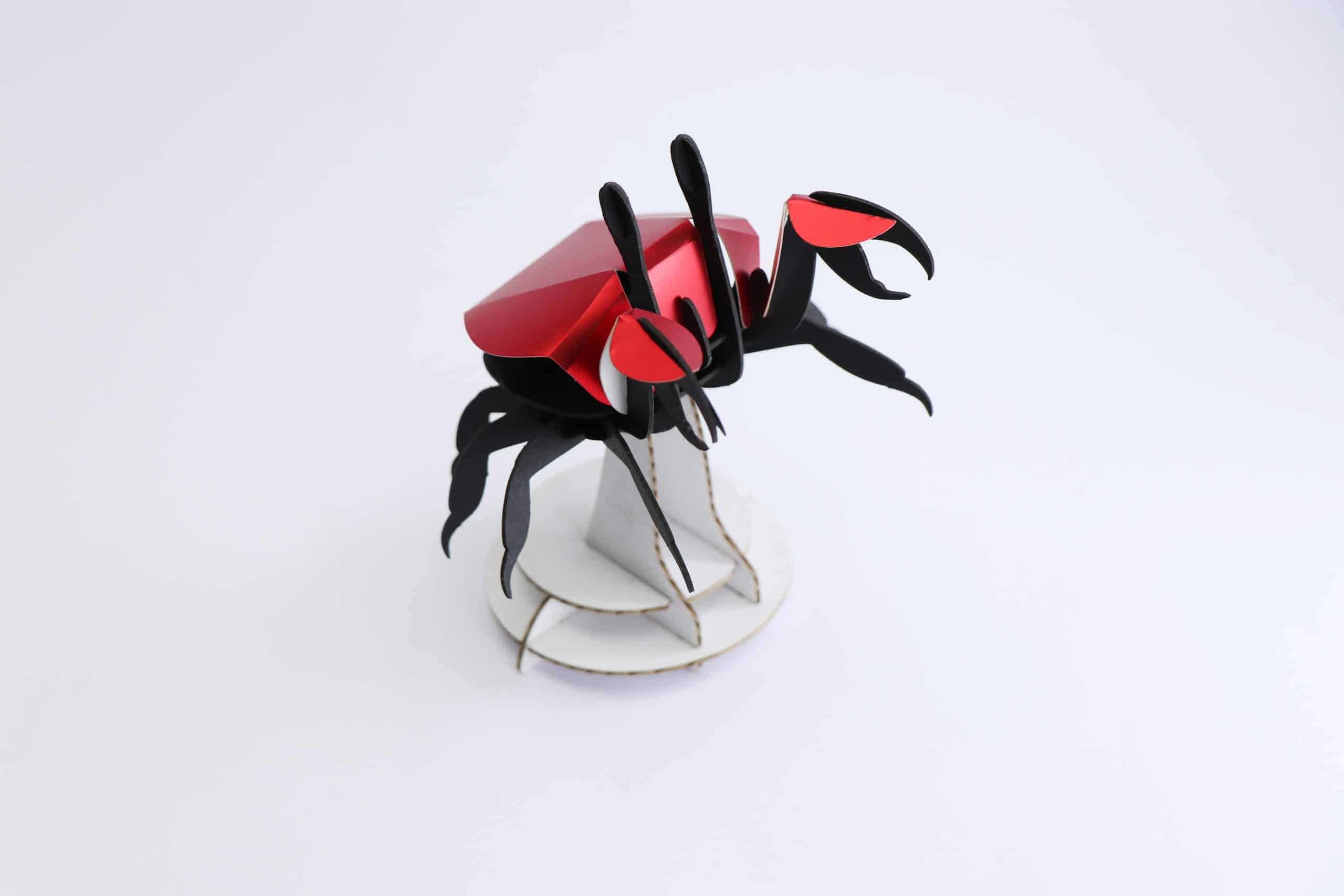 Paper Beach Crab - Image 3